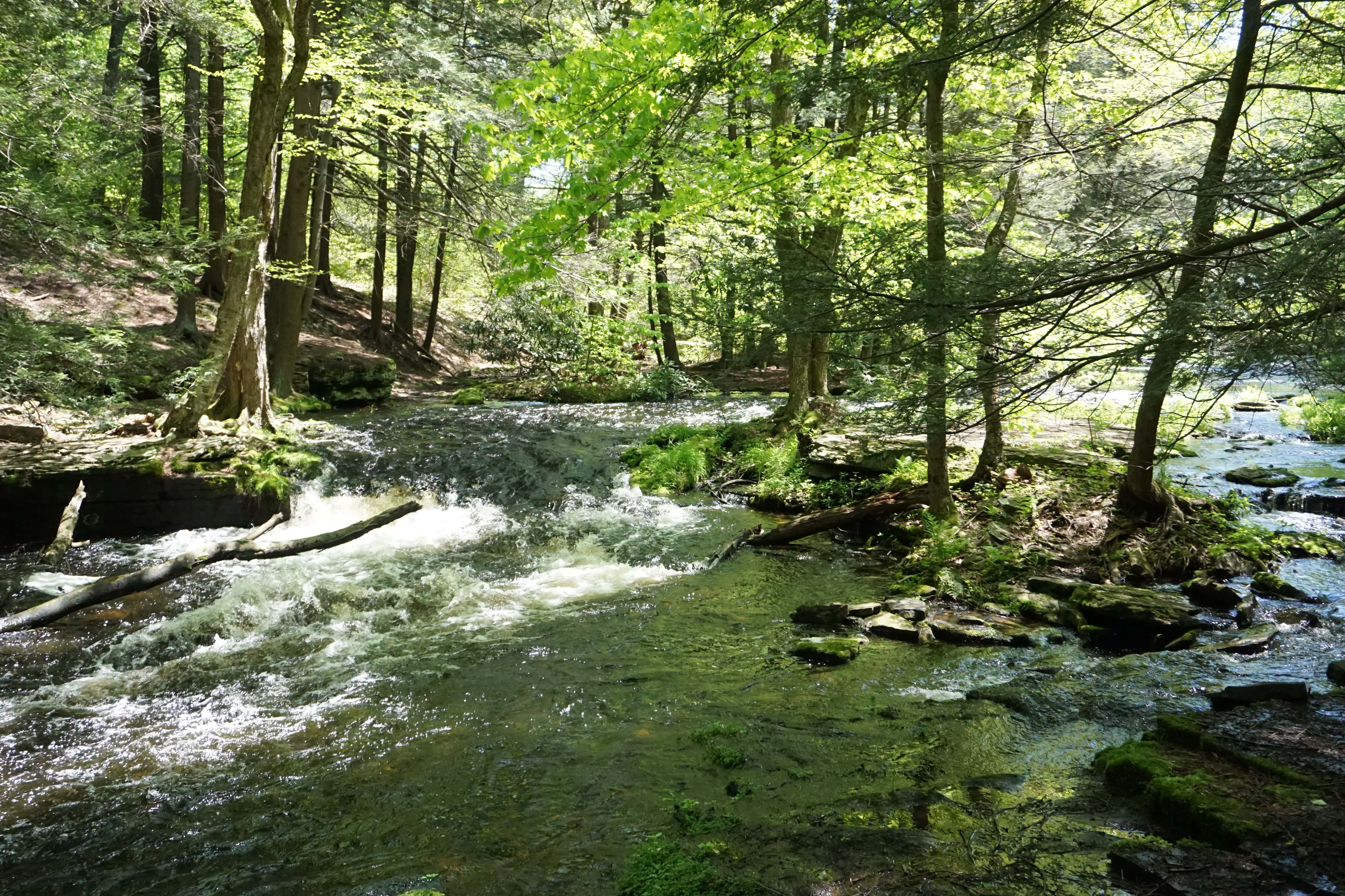 Rivière Little Falls Trail, Pocono Mountain, Pennsylvanie