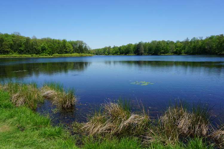 Promised Land Park, Pocono Mountain, Pennsylvanie