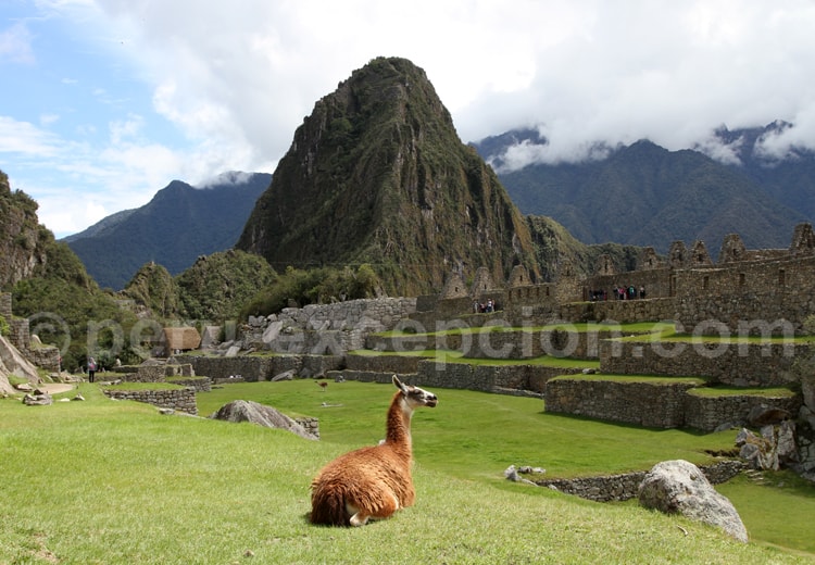 Grande place du Machu Picchu, Pérou